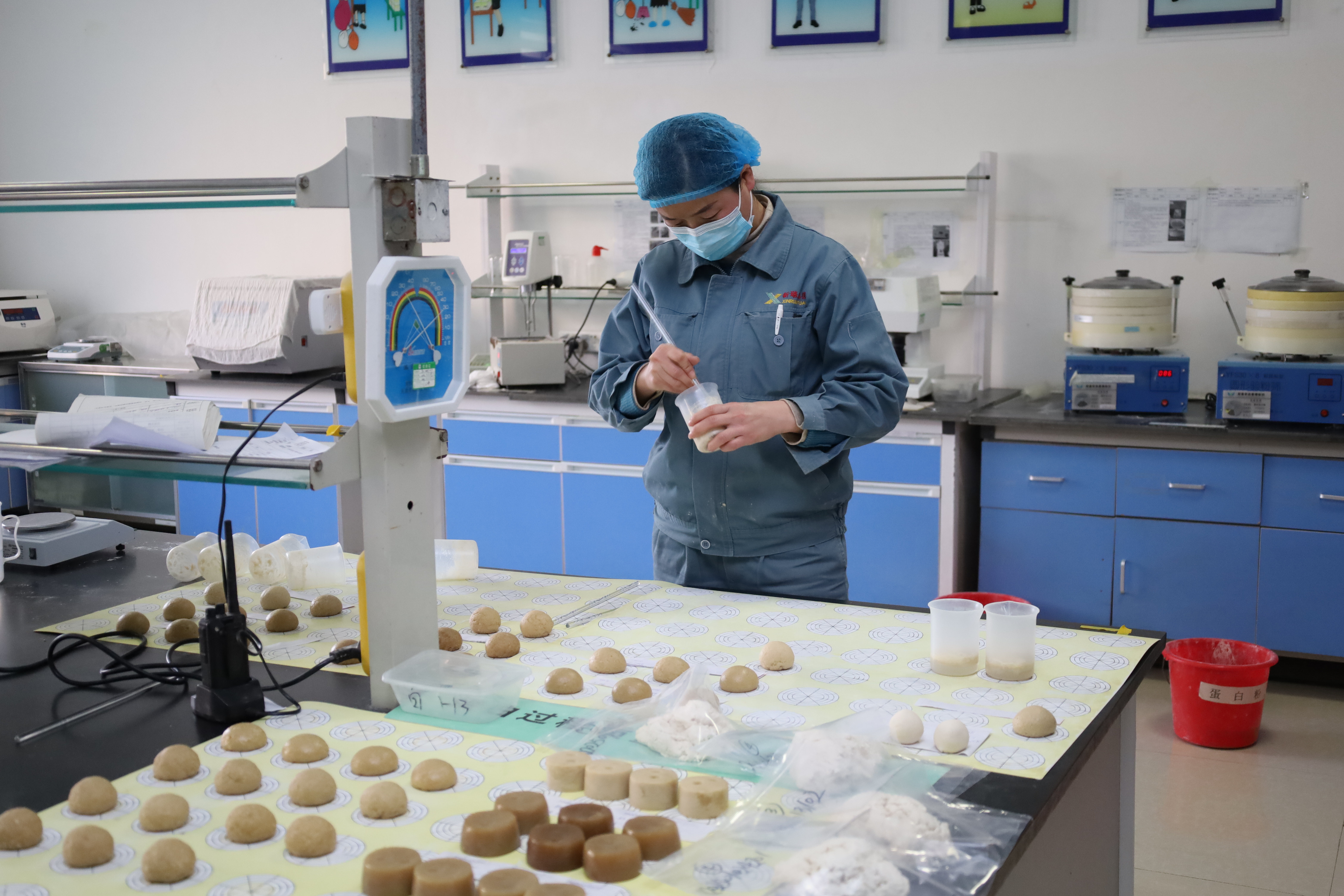 大豆分离蛋白凝胶实验