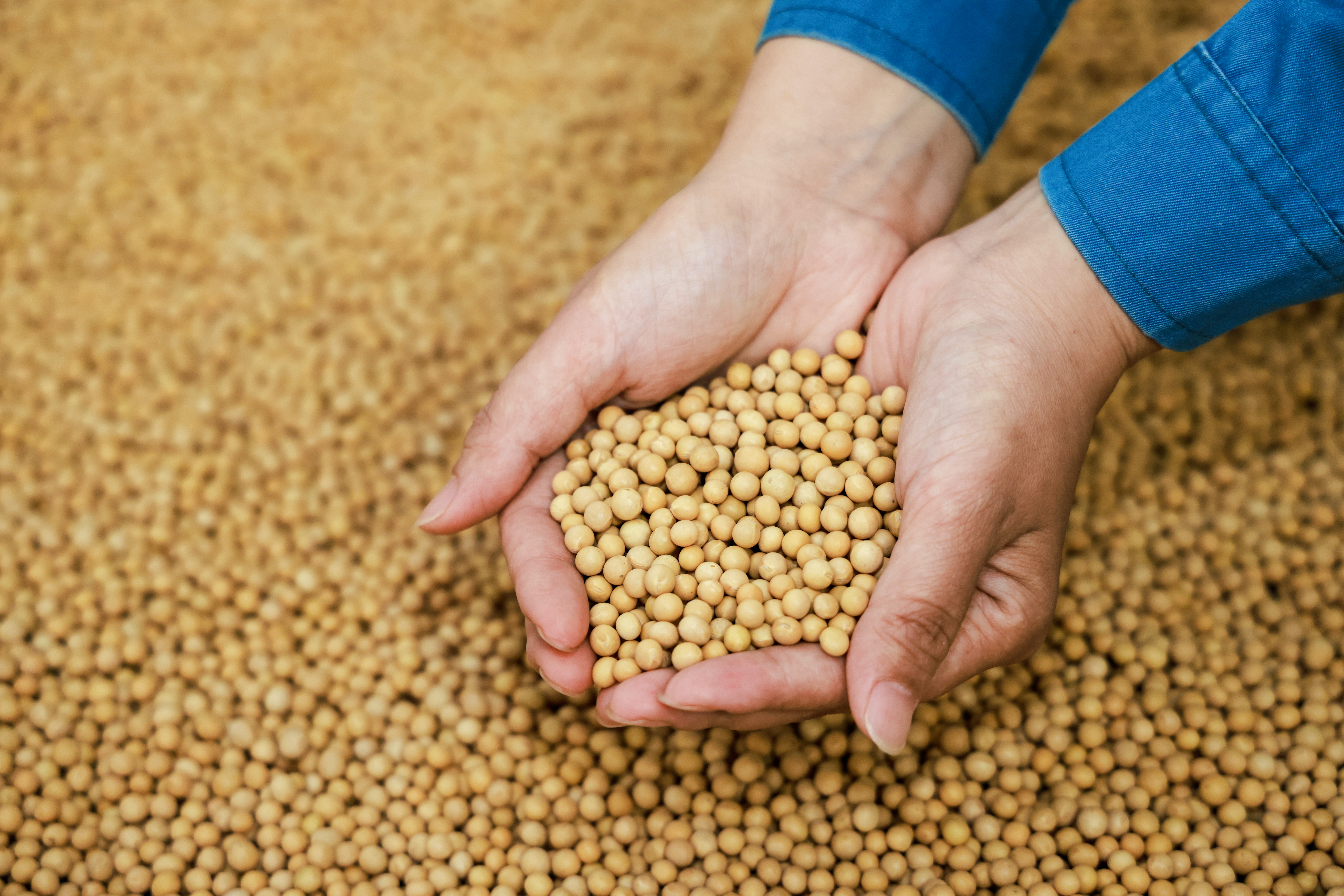 52aa85e31b12d58c6c39dd5a986f033